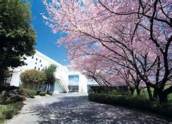 大阪信愛女学院中学校平成３０年度入試関連行事日程