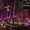 堺の桜採イルミネーション｜大阪光の饗宴２０１７