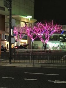 クリスマスイルミネーション大阪堺