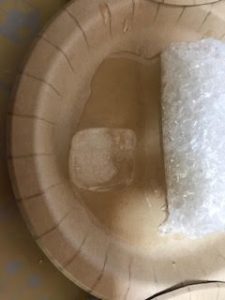 夏休み自由研究氷の溶け方の実験