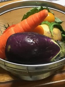 小学生低学年自由研究実験夏休みまとめ浮く野菜に沈む野菜